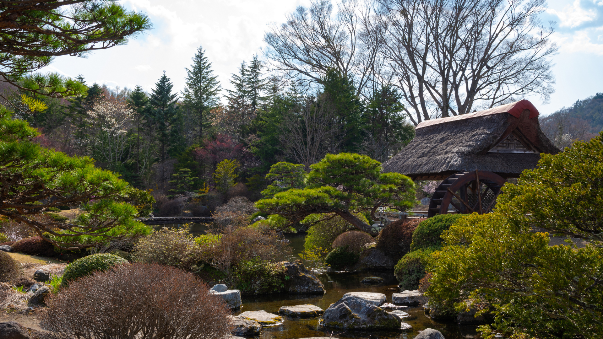Ngày 2: Yokohama - Núi Phú Sỹ